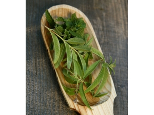 ���۲����ܳ�ʲô ������ʳ�轲��