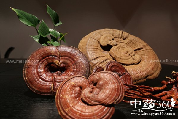 yeshenglingzhidegongxiao