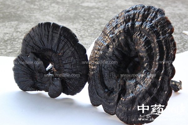 yeshenglingzhidegongxiao