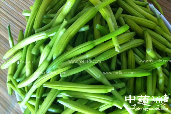 huanghuacaideyingyang