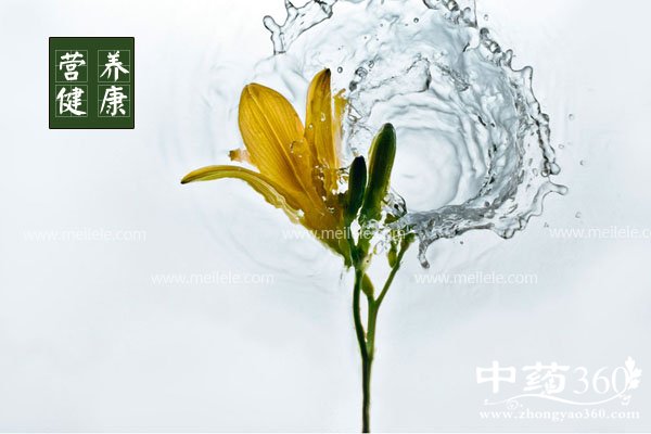 huanghuacaideyingyang