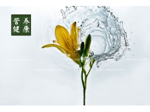 �ƻ��˵�Ӫ����ֵ����Ч �ƻ�����ѡ����