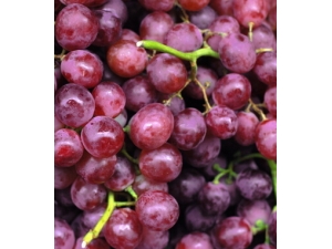 ʧ����ô�� ����ҩƿ�����԰���ˮ��