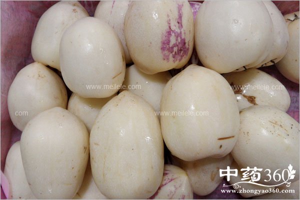 renshenguodegongxiao