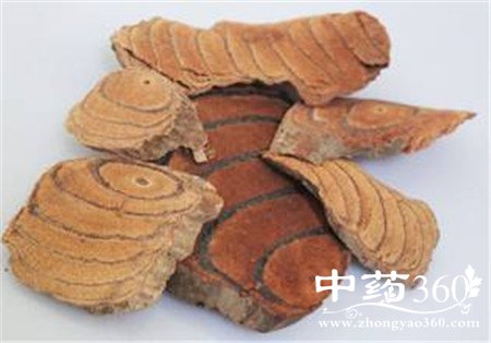 ƶѪ˳ʲôѪ Ѫٸ(2)