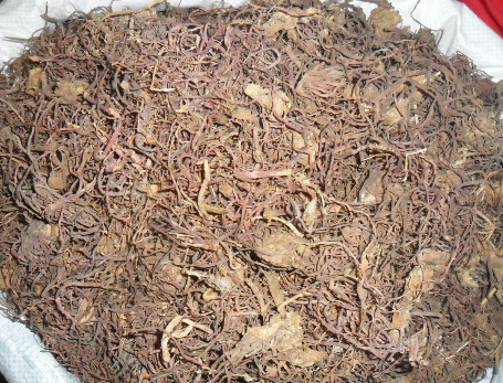 紫菀的临床应用