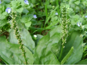 �и����ԳԳ�ǰ���� ���帱���ø���ȫ