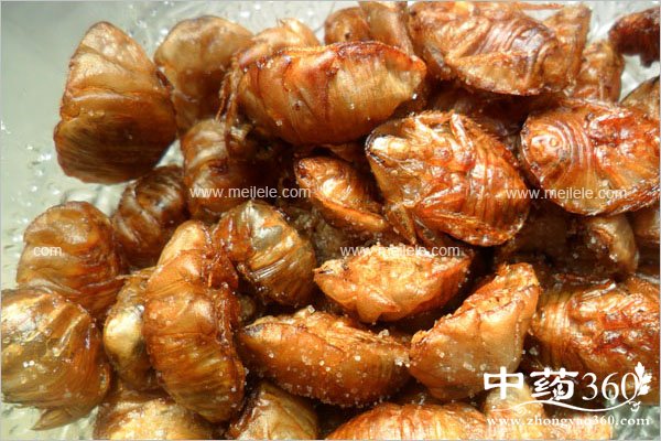 tubiechongdegongxiao