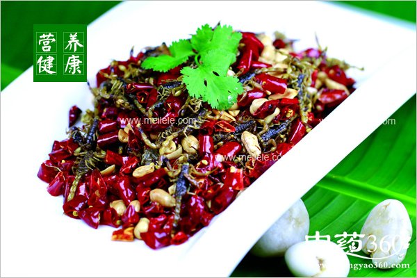 tubiechongdegongxiao