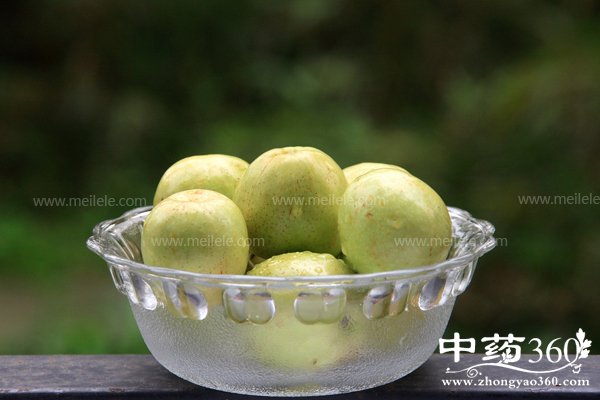 dongzaodeyingyangjiazhi