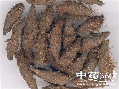 女性月经不调吃什么中药 香附来帮忙(2)