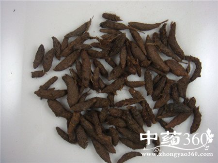 女性月经不调吃什么中药 香附来帮忙(2)