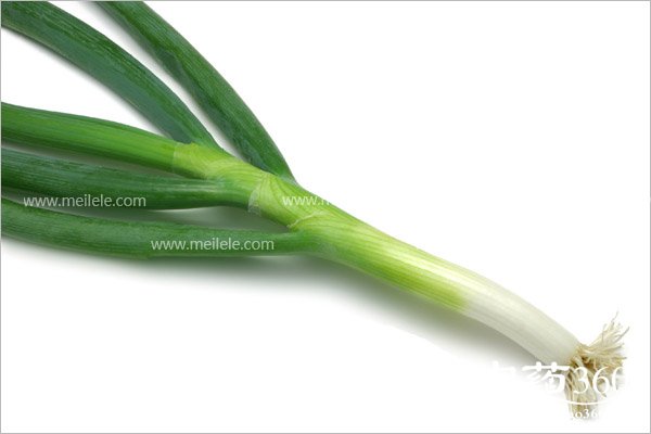 dacongdeyingyangjiazhi