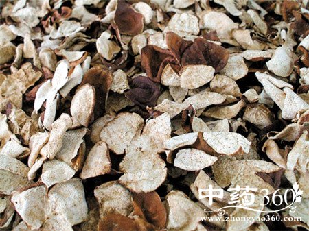 如何保存陈皮 重要事情请切记