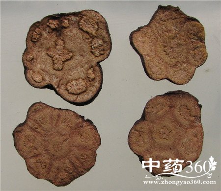 ʲôѪ֬ ڵĹЧൽ벻(2)