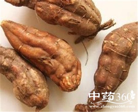 ʲôѪ֬ ڵĹЧൽ벻(2)