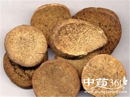 ʲôѪ֬ ڵĹЧൽ벻