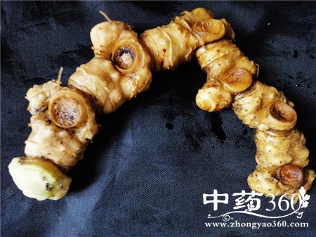 ӻ˥ϳʲô ƾˮݴ(3)