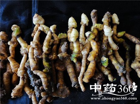 ӻ˥ϳʲô ƾˮݴ(3)