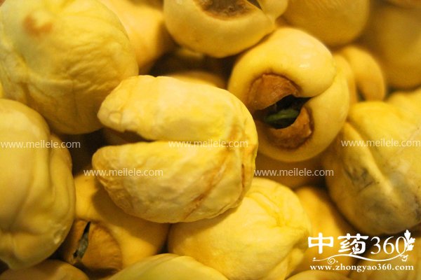 lianzideyingyangjiazhi