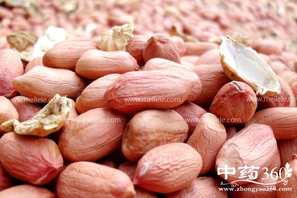 chihuashengyoushenmehaochu