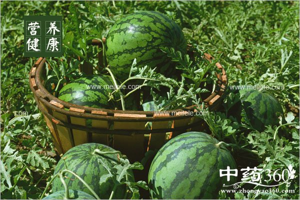 tanshuihuahewudeshiwu