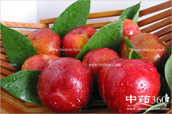 pidanbunengheshenmetongchi