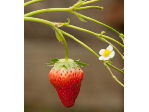 Ů��������ʲô 14��ˮ�����̲�