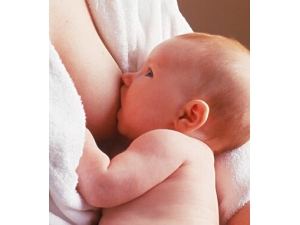 ��������������ô�� Ӥ������������Ӧ��