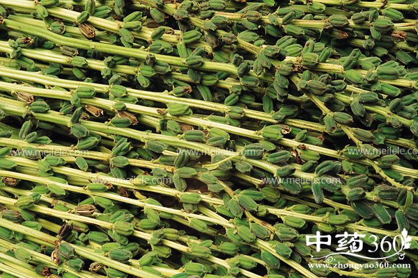 heizhimadegongxiaoyuzuoyongjishiyongfangfa,heizhimadechandi