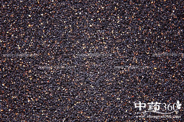 heizhimadegongxiaoyuzuoyongjishiyongfangfa,heizhimadechandi