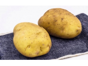 ��ʲô�ܲ��� �Ƽ������ҳ�ʳ��