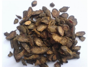 治脱发的偏方 香附侧柏洗头有奇效