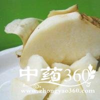 凉薯