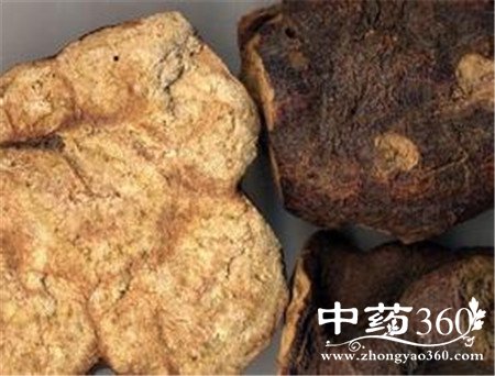 ����������ʲô�� ���ɲ�ֹ�ܺڷ�(2)