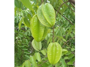 �������� ���ˮ���ǻ����ĺð���