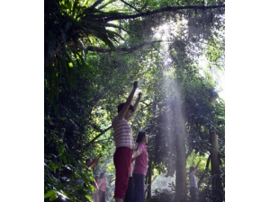 �������� �����˶�������С��ʶ