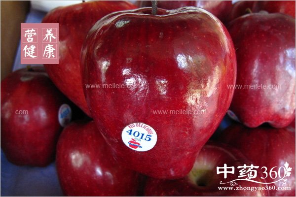 sheguodeyingyangjiazhi