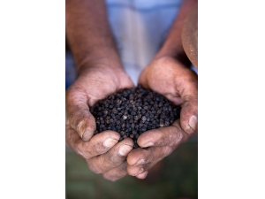 ������Ӫ����ֵ �������ֺڰ׺����ķ���