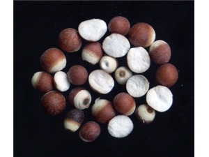 ��ʵʳ�õ�ע������ ���ʳ�ø�Ӫ��