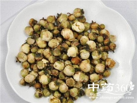 天山雪莲泡酒配方 看到就赶紧收藏(2)