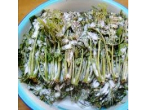 �㴻(����)