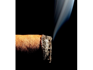 ���Խ��� ���˿�˥�ϵ�8�ַ���