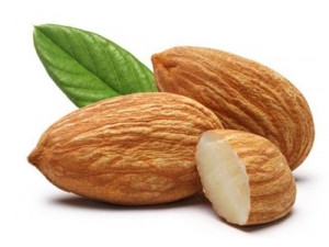 ��ҩ�ط���֧��������