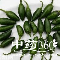 墨西哥<a href='https://www.zhongyao360.com/z/lajiao/' target='_blank'>辣椒</a>