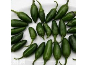 ī��������