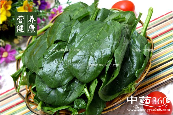 bocaibunengyushenmetongchi