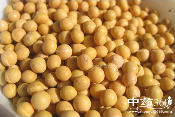 bocaibunengyushenmetongchi