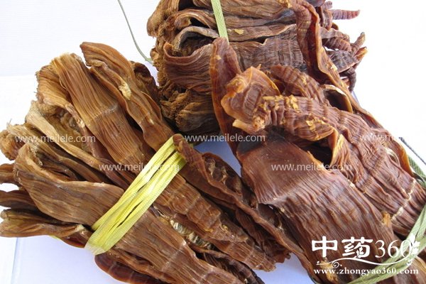 sungandeyingyangjiazhi