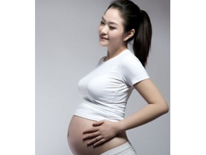 �ʸ��� Ů���ʹ�����������